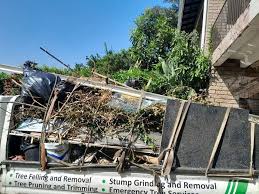 Best Basement Cleanout  in Black River Falls, WI
